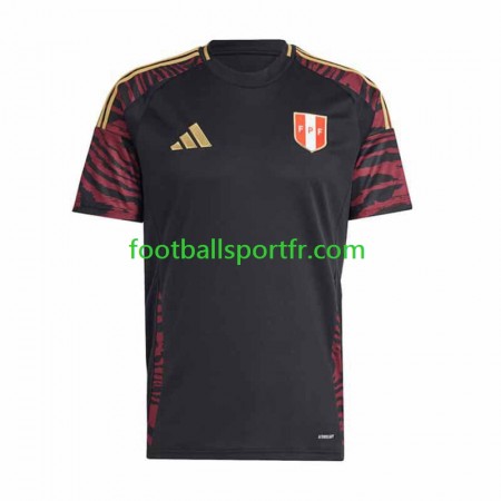 Tenue Pérou Exterieur Copa America 2024 Maillot de Foot
